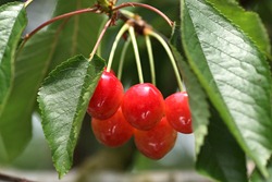 IMG_6805